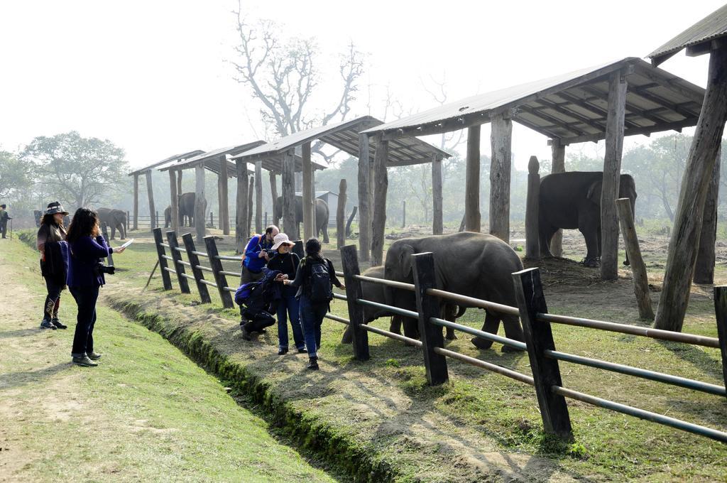 סאורהה Green Park Chitwan מראה חיצוני תמונה