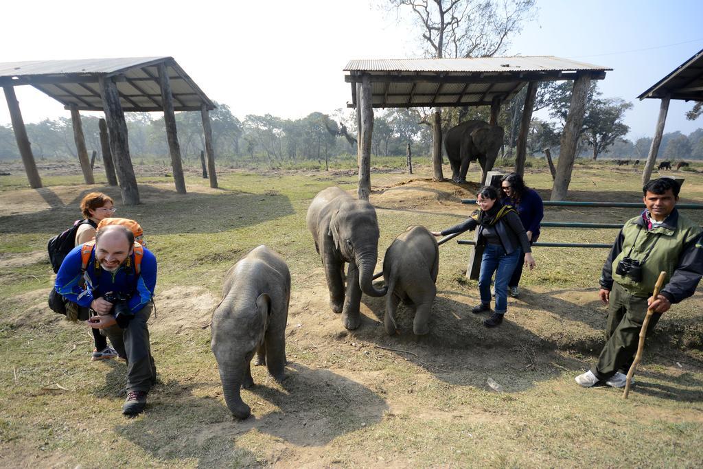 סאורהה Green Park Chitwan מראה חיצוני תמונה