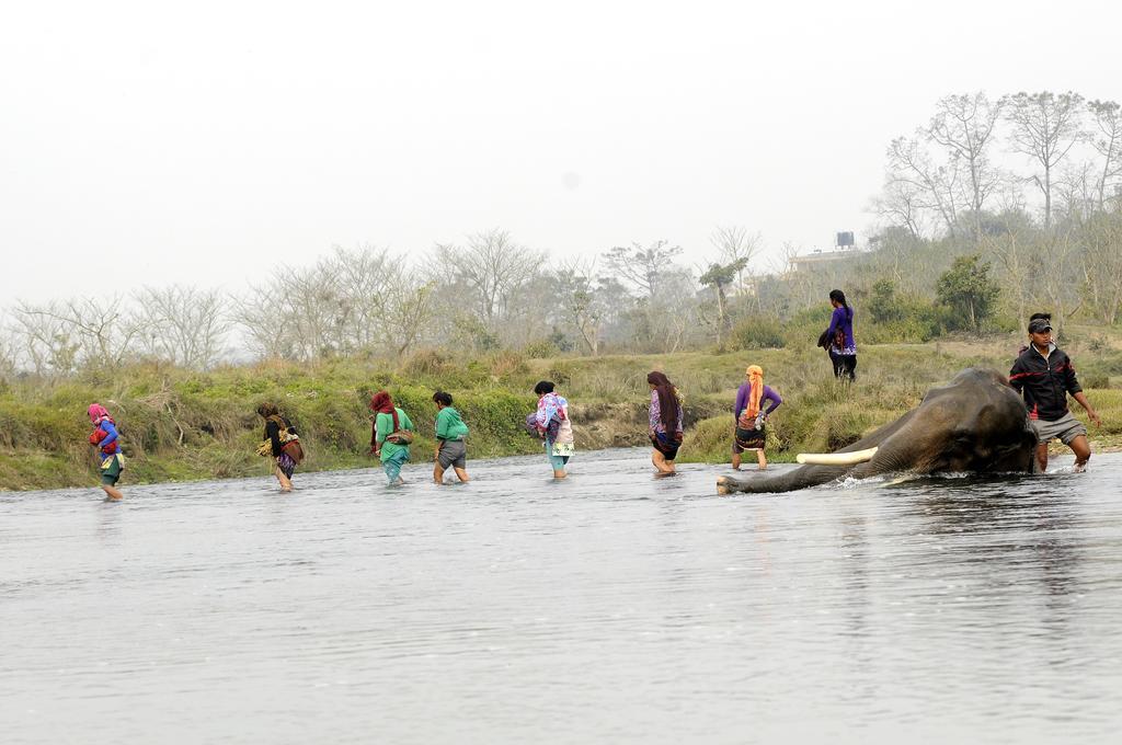 סאורהה Green Park Chitwan מראה חיצוני תמונה